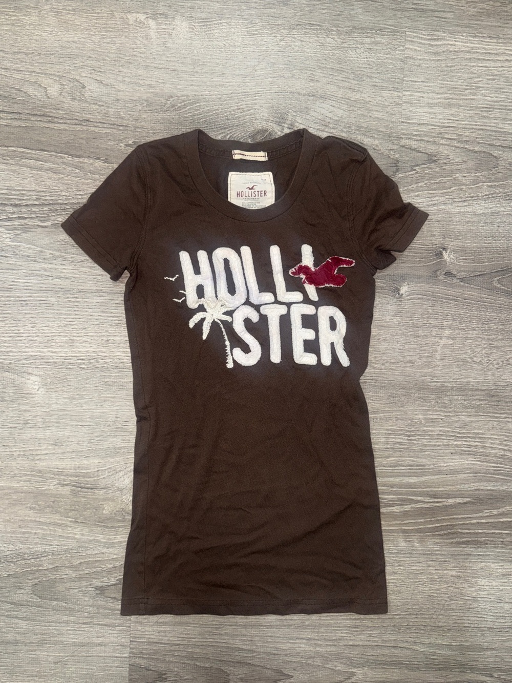 Hollister Black Short Sleeve Tee with White Logo and Maroon Seagull